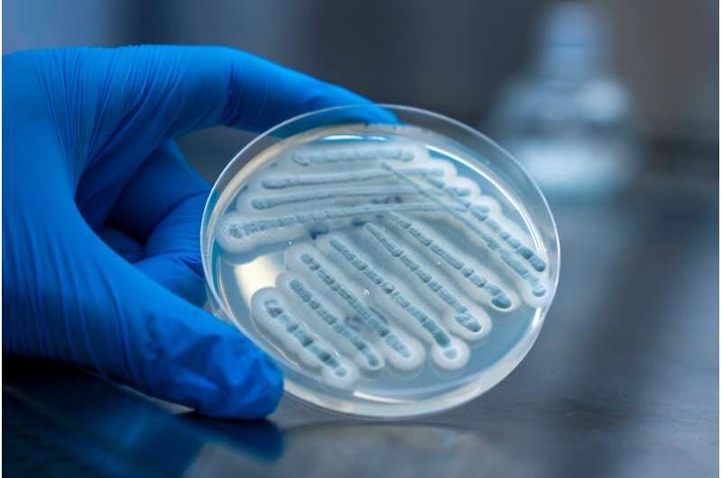 A new enzyme may help the development of anti-cancer drugs