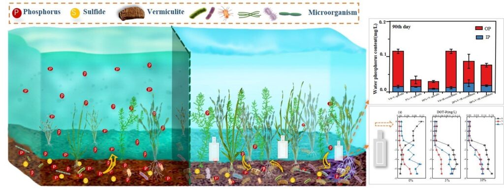 Research shows vermiculite as an effective solution for eutrophic lakes