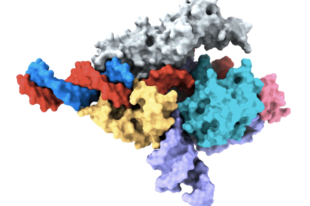 Researchers have discovered a new CRISPR-like system in animals that can modify human bodies